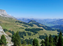 011 - le rüebli und die berner alpen